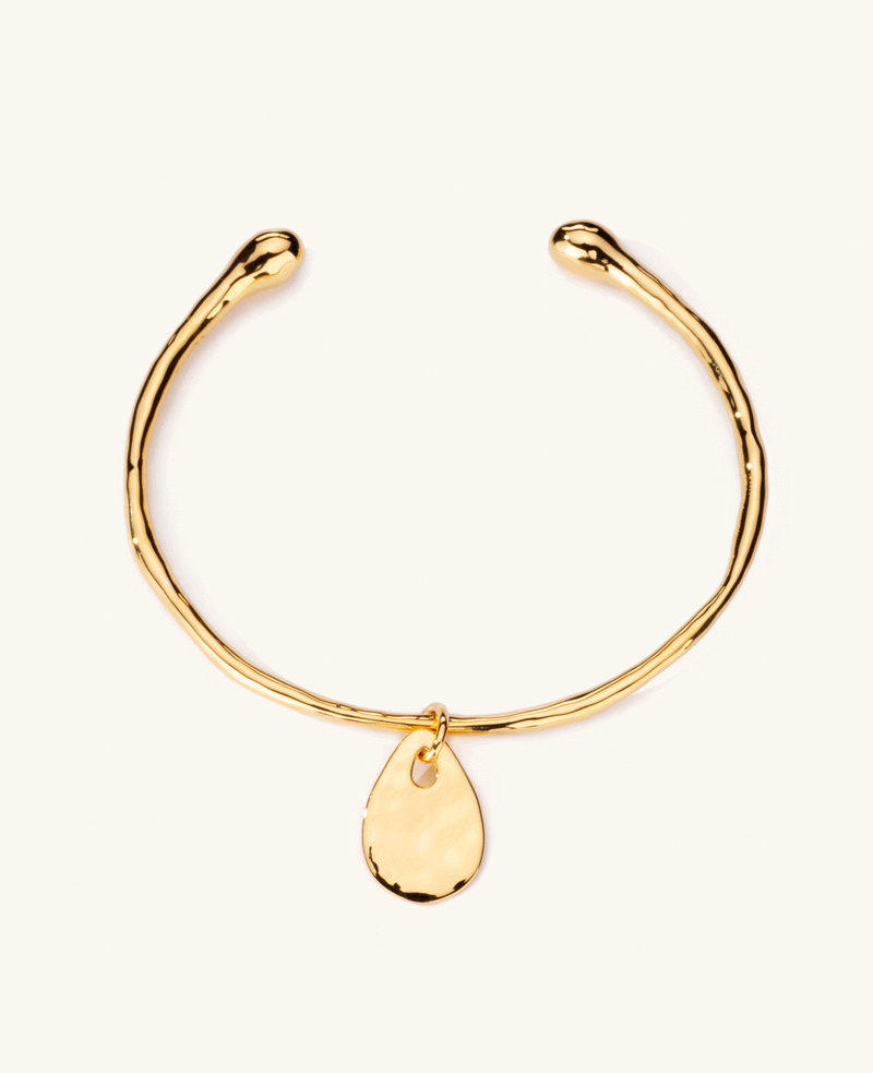 Calypso Charm Bangle