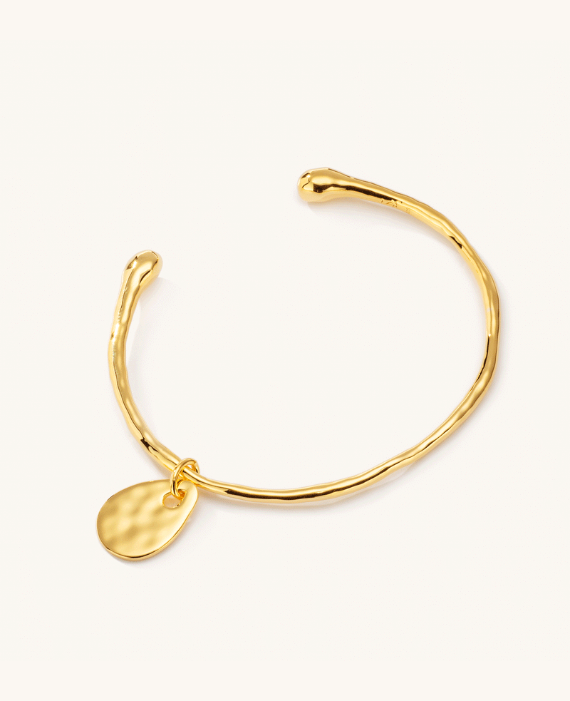 Calypso Charm Bangle