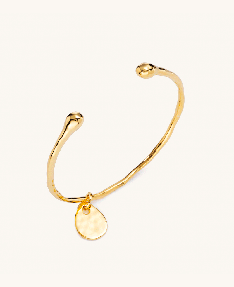 Calypso Charm Bangle