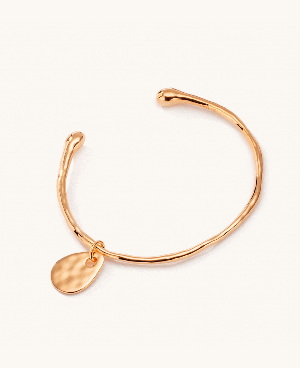 Calypso Charm Bangle