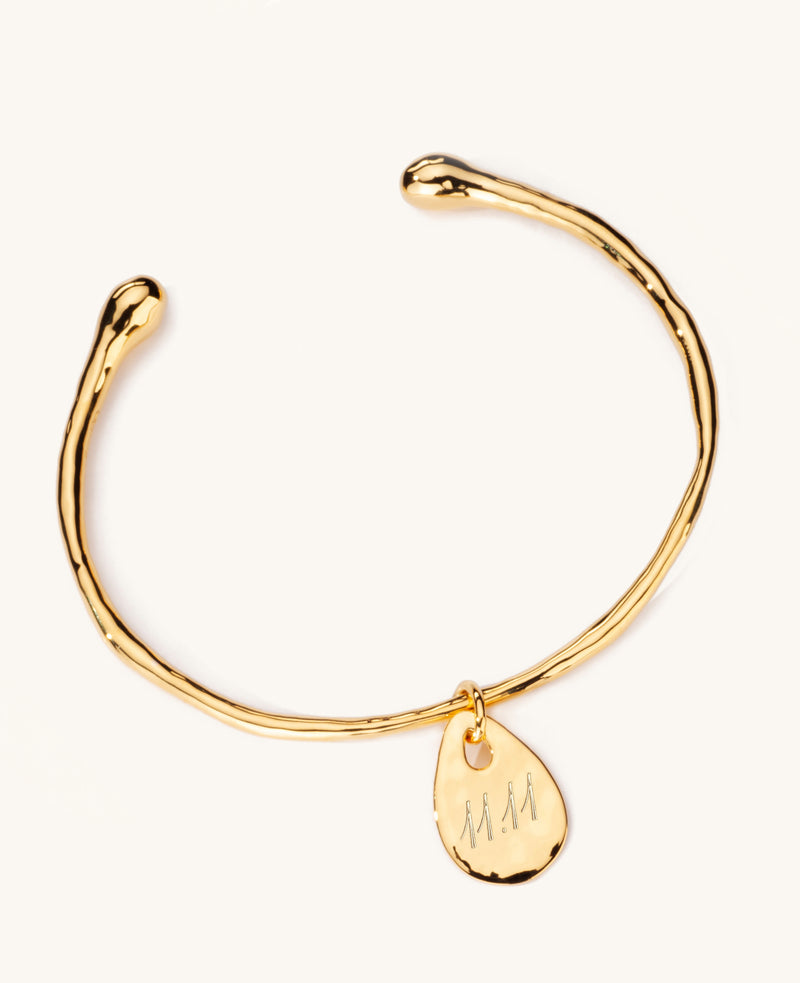 Calypso Charm Bangle